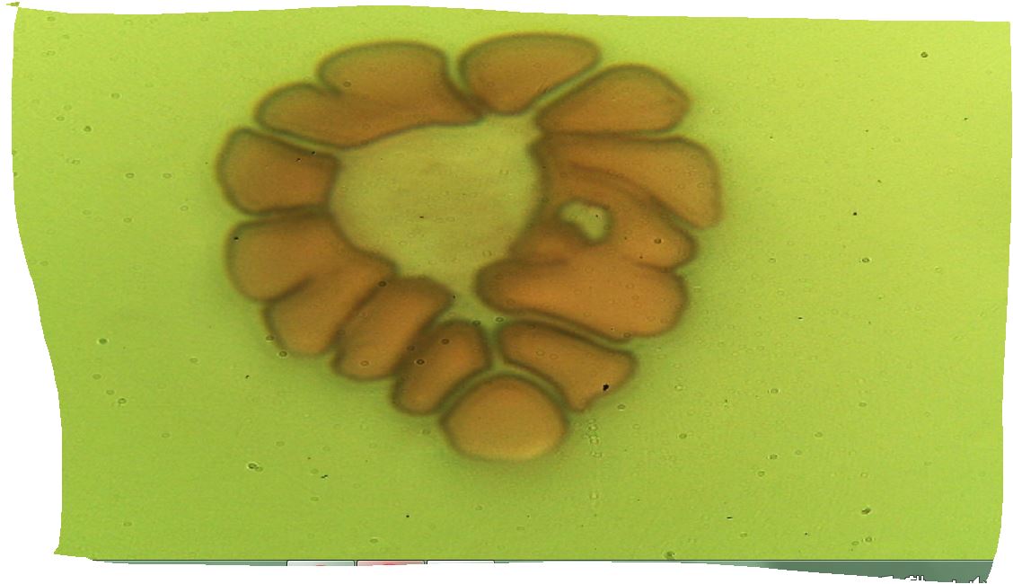 un cuore fatto dal mio sangue